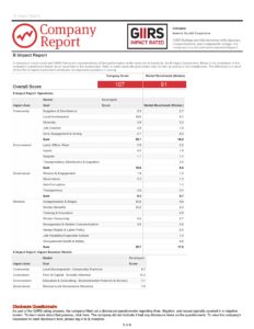 Insieme Societa Cooperative_2016 GIIRS Rating Report-page-003 (1)