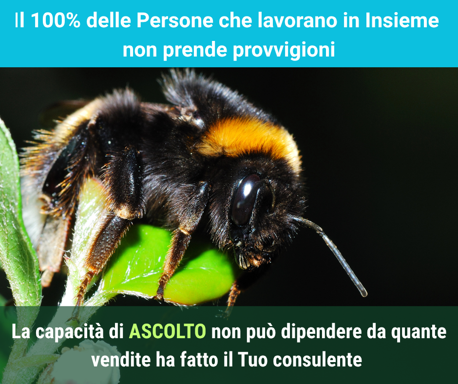 Testo del paragrafo
